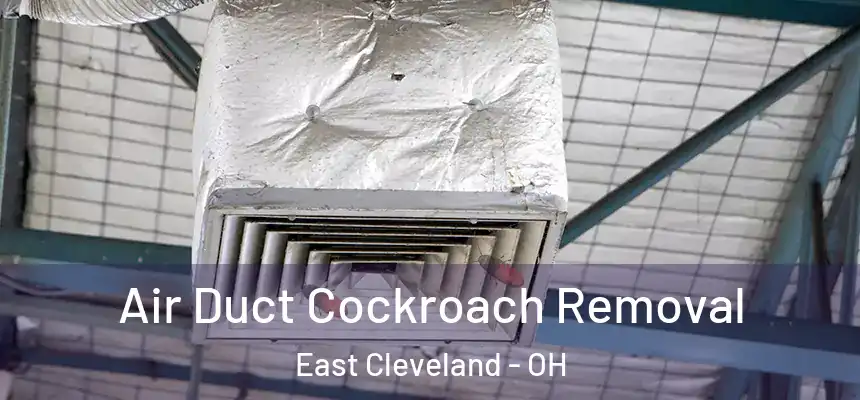 Air Duct Cockroach Removal East Cleveland - OH