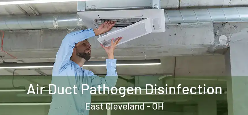  Air Duct Pathogen Disinfection East Cleveland - OH