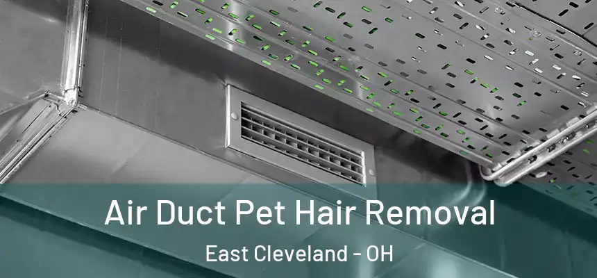  Air Duct Pet Hair Removal East Cleveland - OH