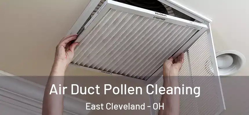 Air Duct Pollen Cleaning East Cleveland - OH