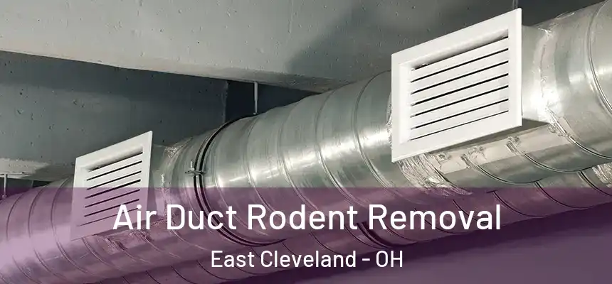 Air Duct Rodent Removal East Cleveland - OH