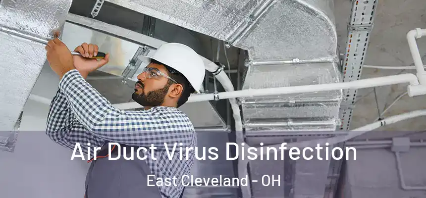 Air Duct Virus Disinfection East Cleveland - OH