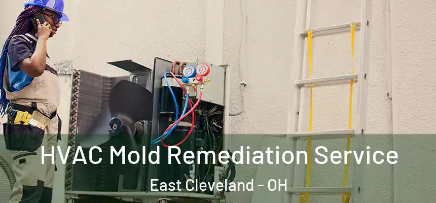 HVAC Mold Remediation Service East Cleveland - OH