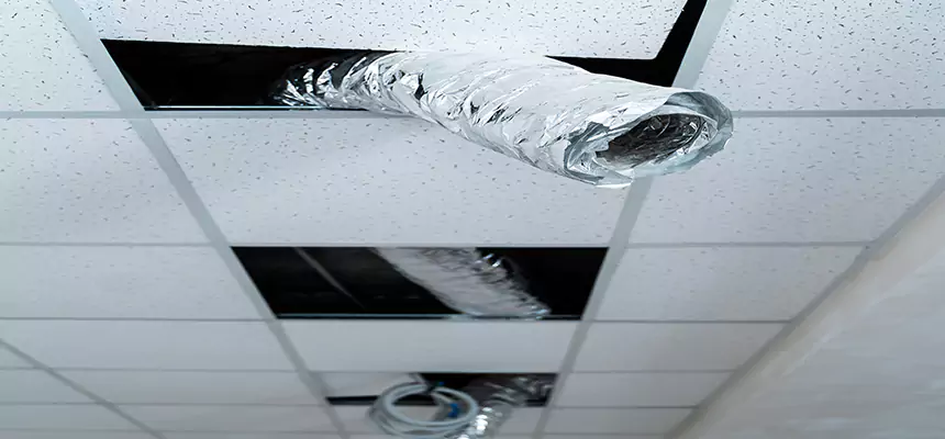 Our Air Duct Pet Hair Removal Services in East Cleveland, OH