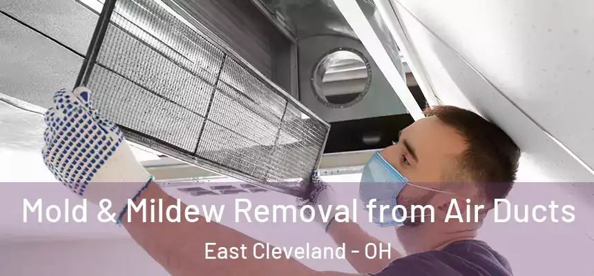 Mold & Mildew Removal from Air Ducts East Cleveland - OH