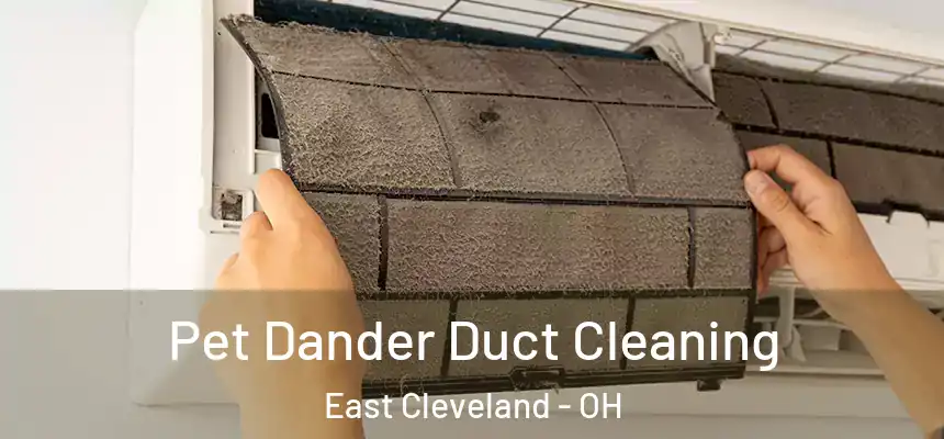 Pet Dander Duct Cleaning East Cleveland - OH