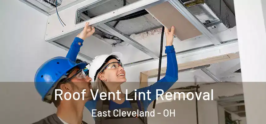 Roof Vent Lint Removal East Cleveland - OH