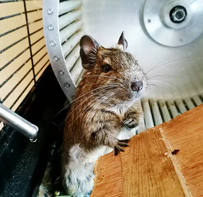 Why Homeowners & Businesses Trust Us East Cleveland, OH